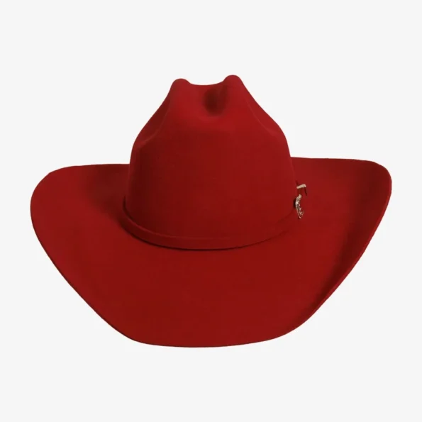 Cowgirl Style with Hat Band