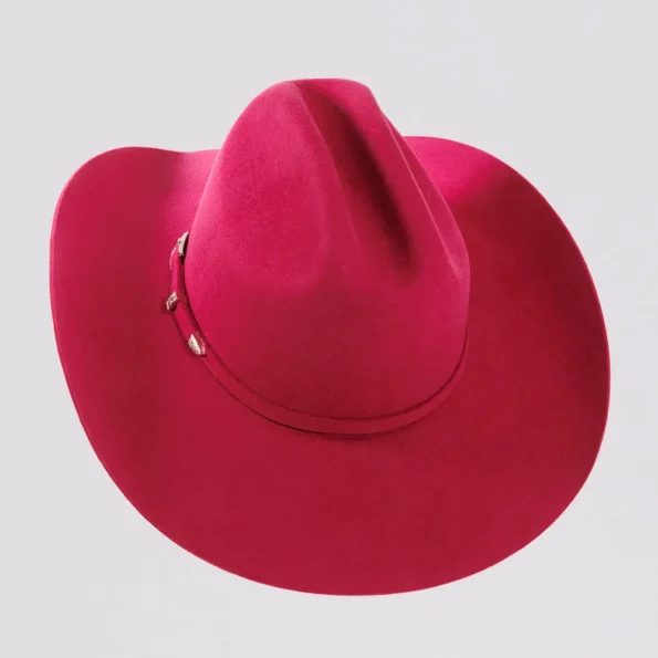 Felt Hat with Western Styling